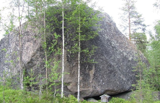 Forest Family Home - Foto 38