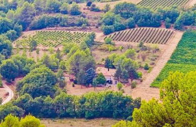 Maison Marvic, Le Laurier T2 - Foto 26