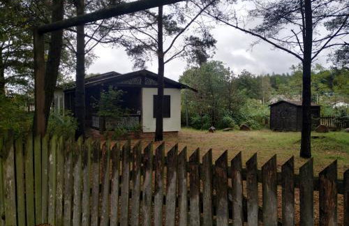 Kamiennikove - Foto 9