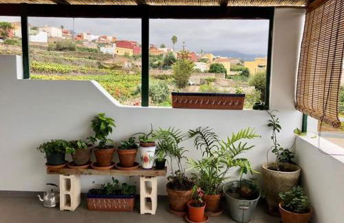 Finca Marañuela - Foto 10