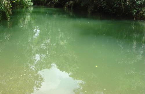 Sítio Chalako, casa exclusiva às margens do Rio Mimoso - Foto 39