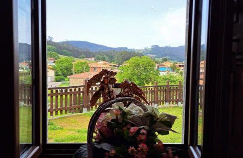 MINI PICONEIRO II - Photo 24
