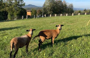 Wioska Jasia i Małgosi - Foto 20