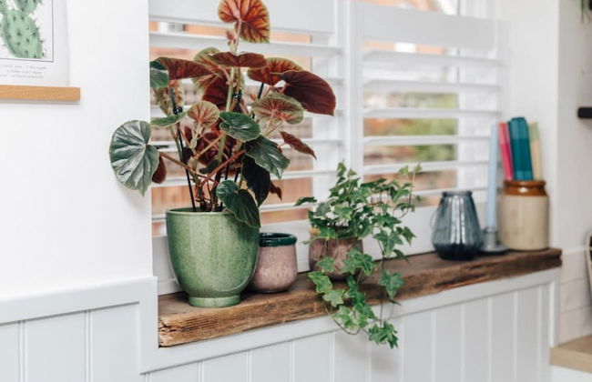 The Poppies - From 150 Per Night - Photo 5