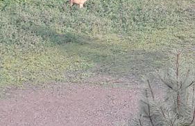 Osada nad Potokiem - Foto 61