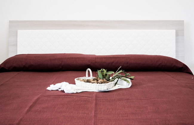 Tenuta Vigna Del Noce - Photo 15