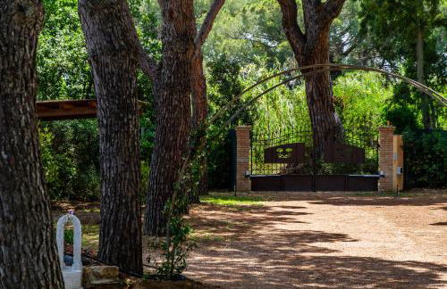 Tenuta Fiumara - Foto 42