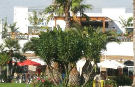 Apartment zona Naturista - Foto 75