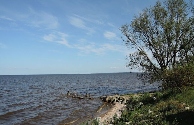 Holiday Home in Nowe Warpno - Photo 61