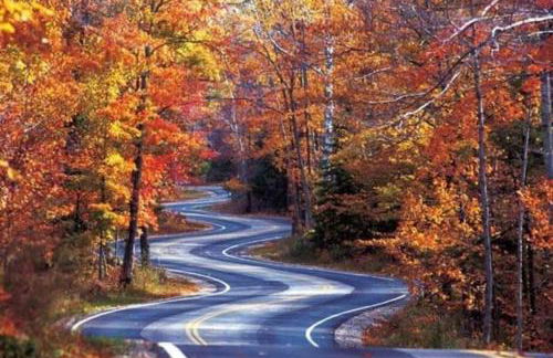 Art's Bungalow-wooded seclusion 1 mi to Deep Creek and Bryson City - Foto 41