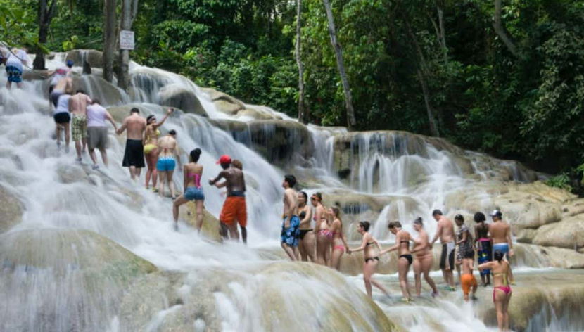 Excursion aux chutes de la Dunn + Ascension de la cascade - Photo 2