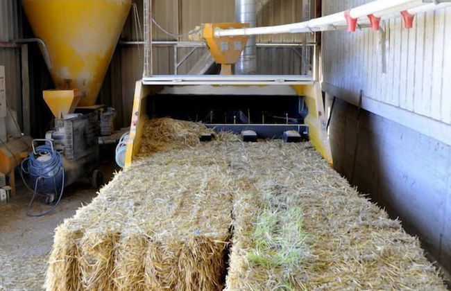 Casas Rurales Espargoiti I y II - Foto 22