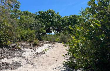 Casa da Lagoa near Barrinha - Foto 55