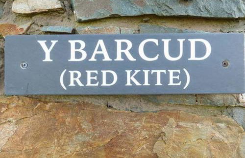 Y Barcud - Foto 2