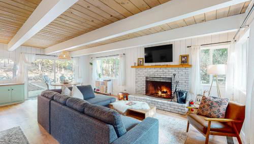 Saint Bernard Beauty - Foto 4