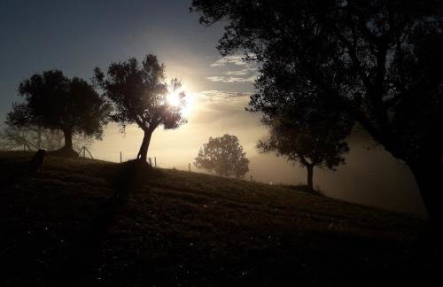 Casa della Casa - Foto 54