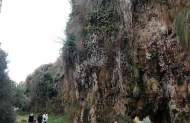 Hábitat Troglodita Almagruz - Foto 17