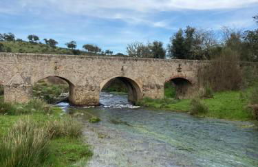Casinha da Póvoa - Turismo de Aldeia - Foto 35