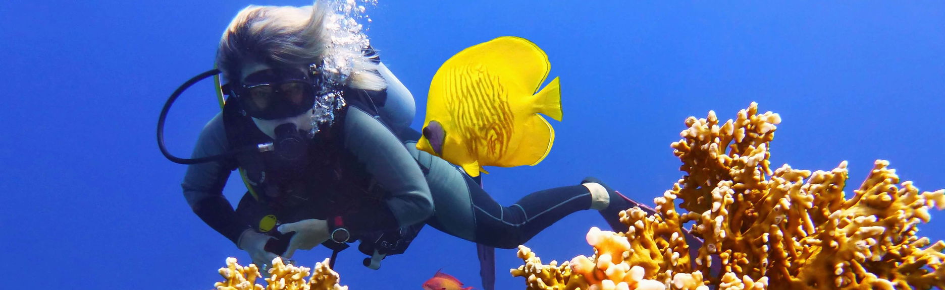 Batismo de mergulho em Gili Trawangan