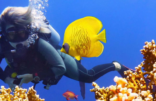 Beginner Scuba Experience - Foto 1