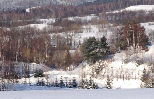 Domki pod Kiczerą w Baligrodzie, Bieszczady - Foto 39