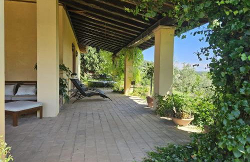 AGRIFOGLIO - Photo 1