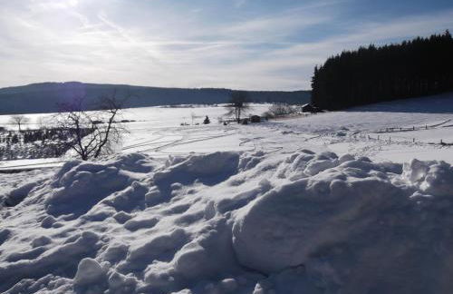 Ferienwohnung Haus Weitblick - Foto 45