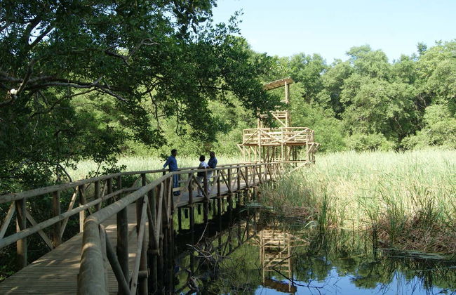 Salamanca Island Road Park Hiking Tour - Foto 2