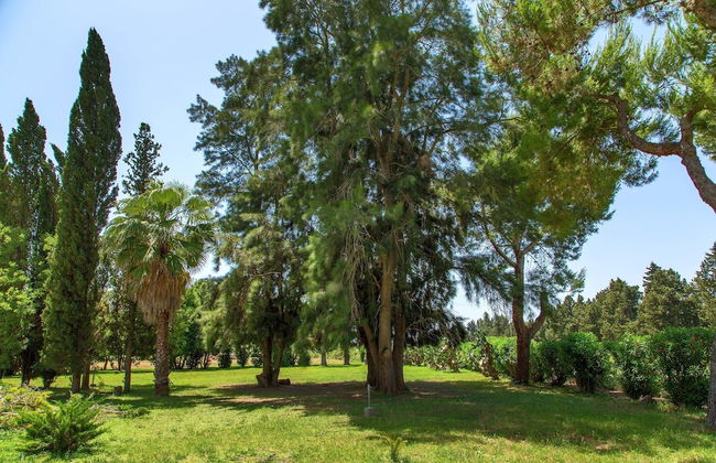 Villa Pignatelli - Photo 40