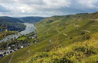 Apartment an der Mosel 1 - Foto 63