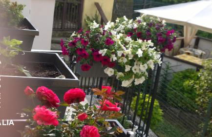 Borgo Foce La Spezia - Photo 42