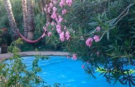 Gite de l'Amandari - classé 3 etoiles Prefecture - piscine chauffée privative, terrasses et jardin, 5 minutes à pied du village - Foto 8