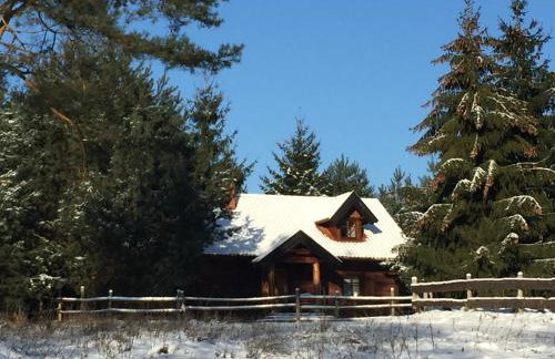 Sosnowy Zakatek - Foto 53