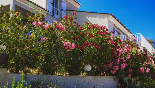 Résidence Castugna - Foto 5