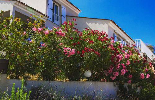 Résidence Castugna - Foto 6