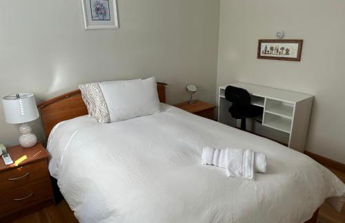 Boston Single Family House - 19' Train to Back Bay - Foto 41