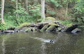 Ferienwohnung ADVENTURE Monschau - Foto 27