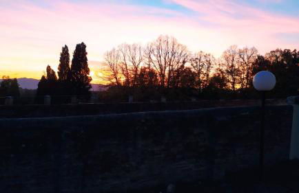 Total Tuscany Countryside Villa - Photo 59