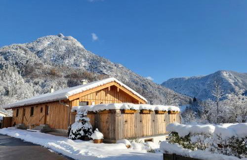 Nickis Bergcamp - Foto 6