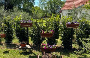 Studio Apartmani Sladakovic - Foto 43