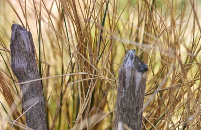 Holiday Home Noordwijkerhout by Beach - Foto 20