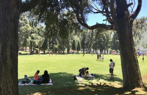 Casa com 01 qto 42m2 - Foto 21