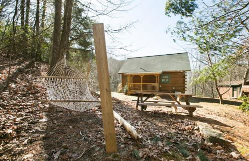 Blueberry Hill Cabin-Private, secluded cabin with a fireplace and New Hot Tub 2025 - Foto 13