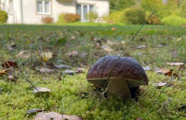 Noclegi Faryny - Foto 7