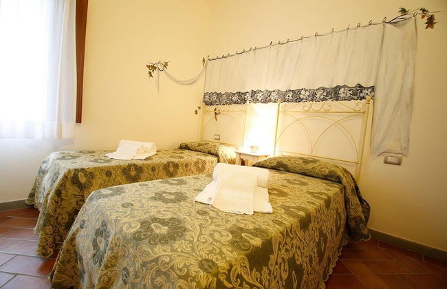 Gatto Bianco Tizzauli - Foto 7