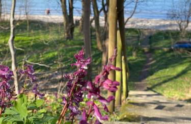 Landhaus Oscar (150m zum Strand) - Foto 35