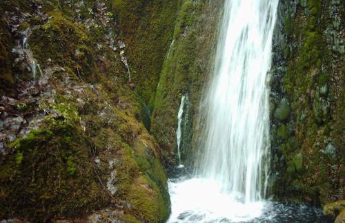 Casa Rural Casa Antiga - Foto 49