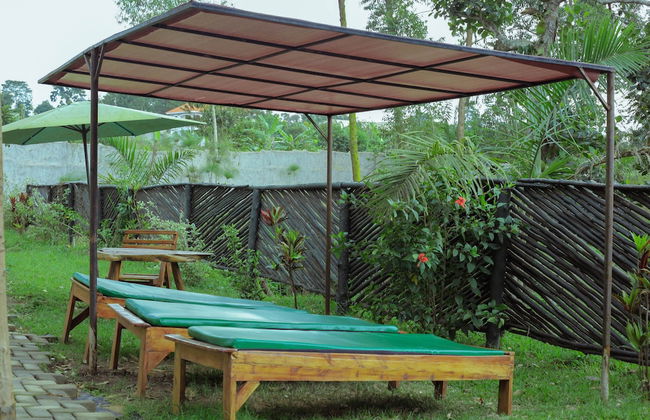 Nyungu Yamawe Forest Park - Foto 14