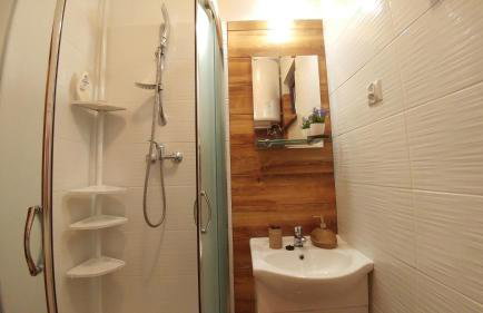 Bieszczadzki Dworek - Foto 22