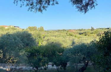 Casa Olea - Photo 40